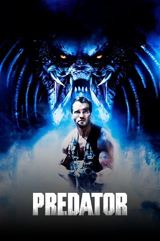 Predator